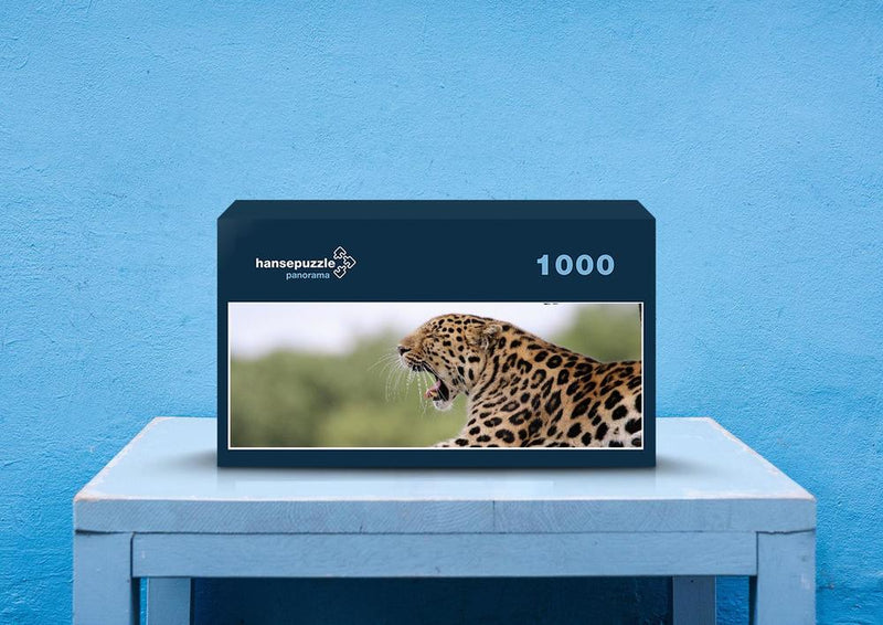 77475 Natur - Leopard