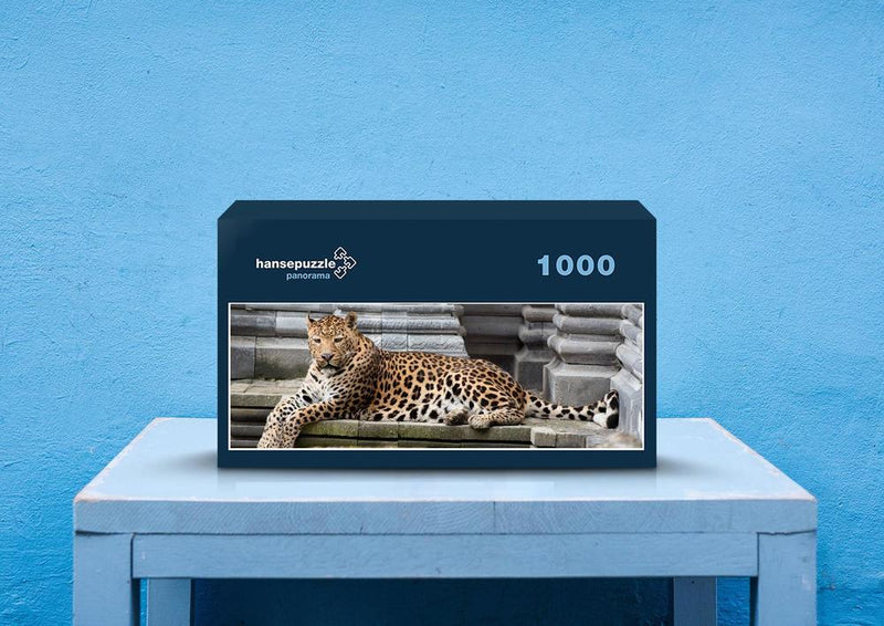 77338 Tierwelt - Leopard