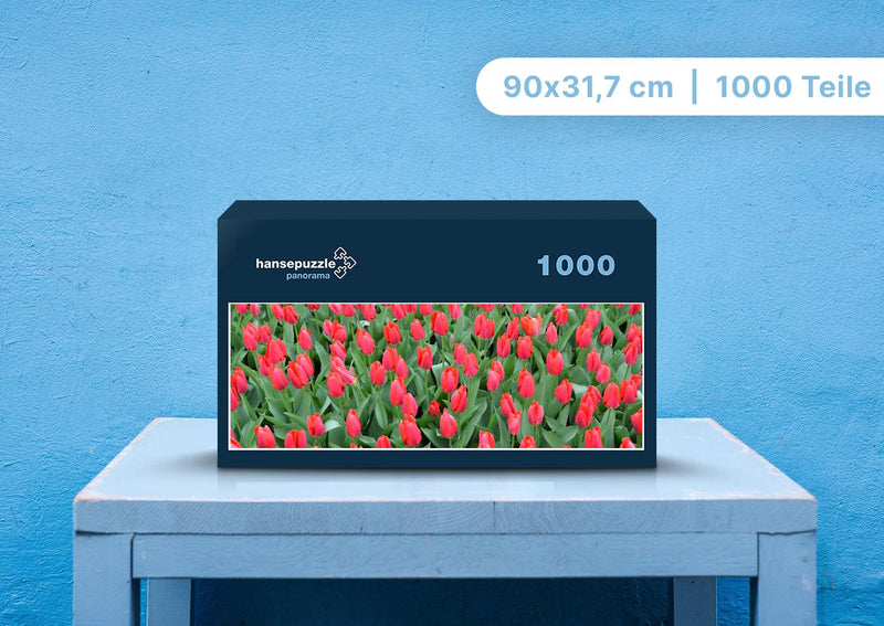 105303 Natur - Tulpen