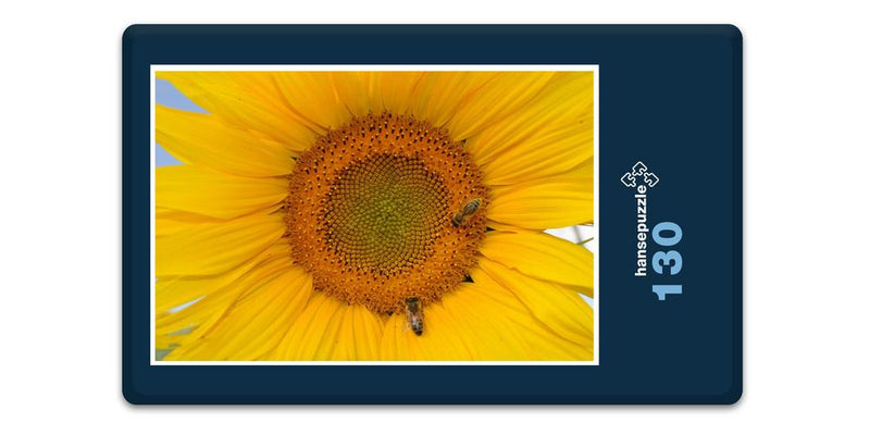 17191 Natur - Sonnenblume