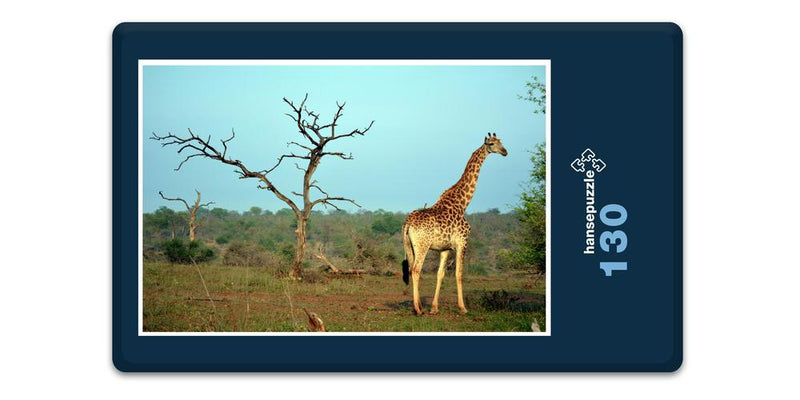 18286 Natur - Giraffe