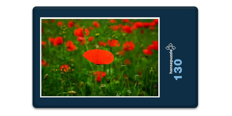 18584 Natur - Mohn-Feld