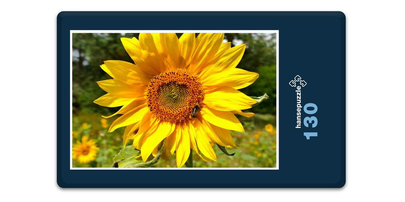 17870 Natur - Sonnenblume