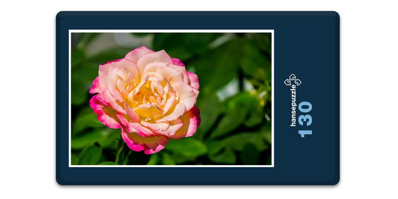 18228 Natur - Rose