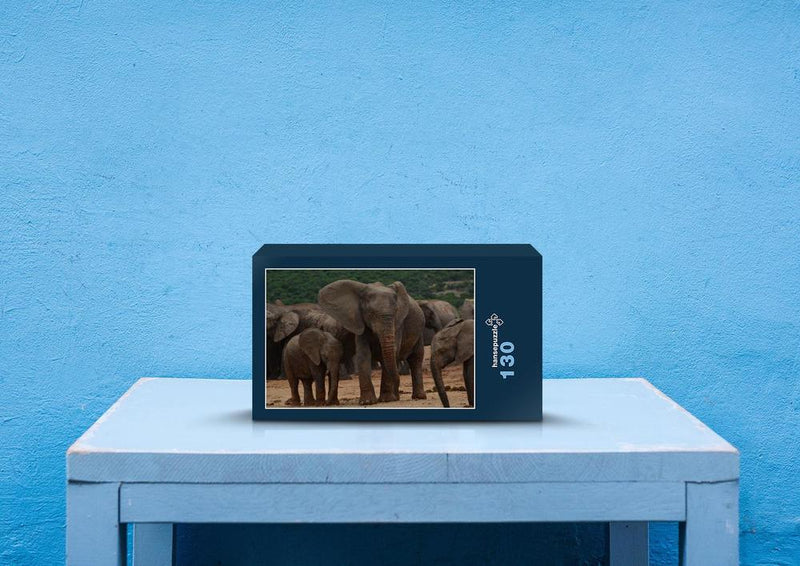 87334 Tierwelt - Elefanten