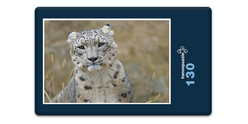 16839 Tierwelt - Schnee-Leopard