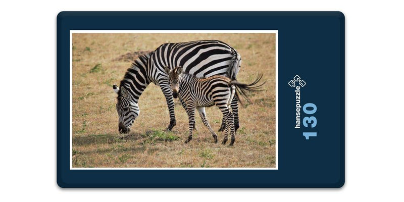 18312 Natur - Zebra