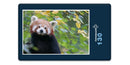 18866 Tierwelt - Roter Panda