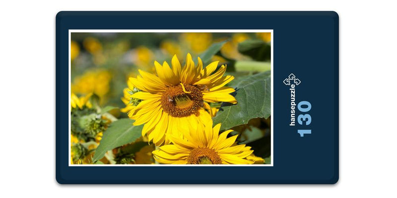 17850 Tierwelt - Sonnenblume