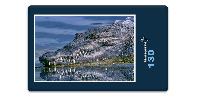 18053 Tierwelt - Krokodil