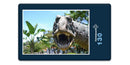 17255 Tierwelt - Dinosaurier