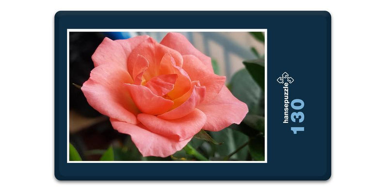 17212 Natur - Rose