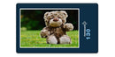 18060 Tierwelt - Teddy auf der Wiese