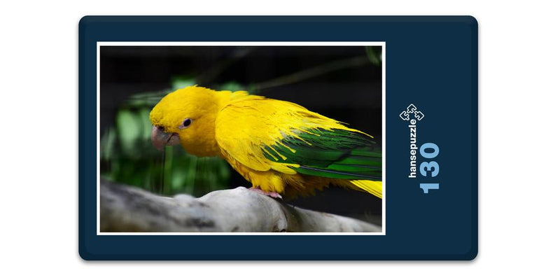 17453 Tierwelt - Golden Conure