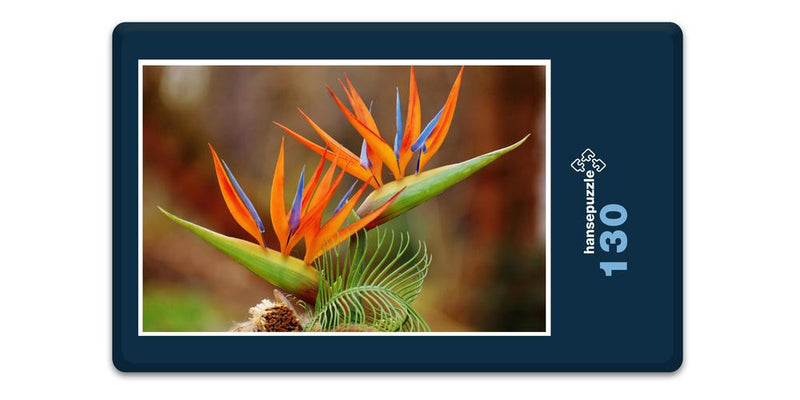 18612 Natur - Bird of Paradise