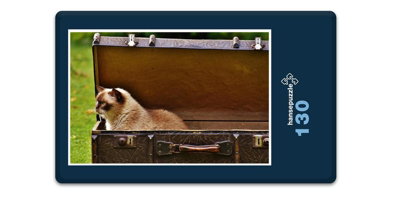16667 Tierwelt - Katze im Koffer