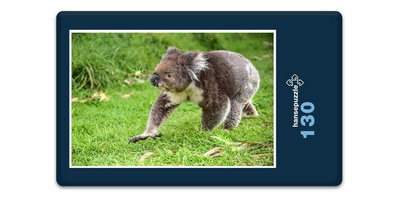 18517 Tierwelt - Koala-Bär