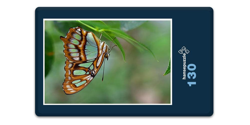 18058 Tierwelt - Schmetterling