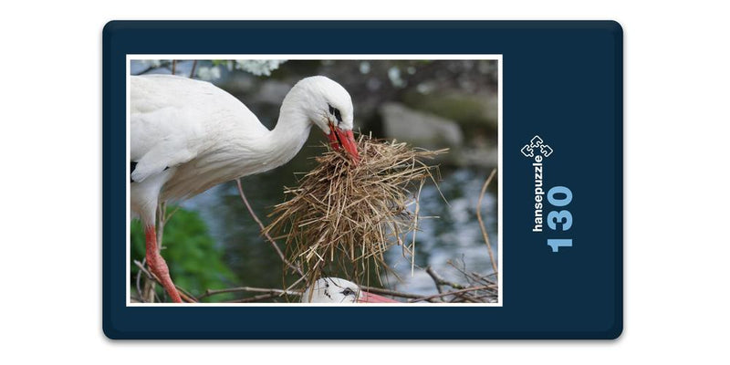 17196 Natur - Storch im Nest