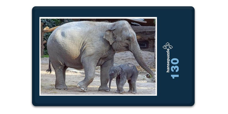 17105 Tierwelt - Elefant mit Baby