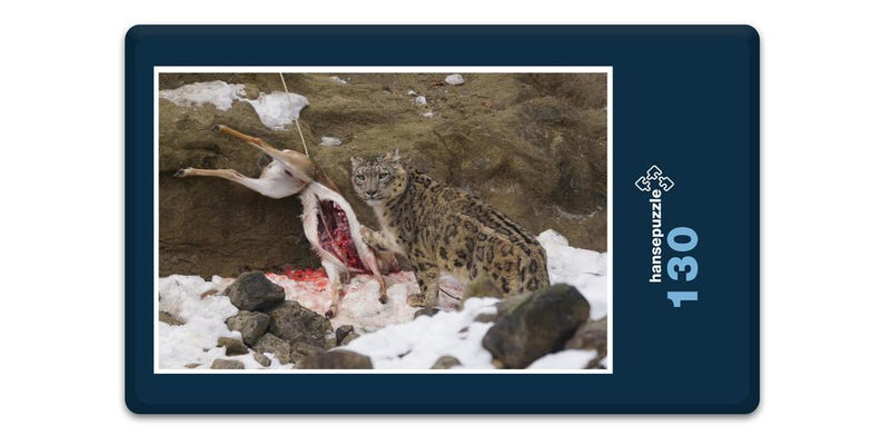 17552 Tierwelt - Schnee-Leopard
