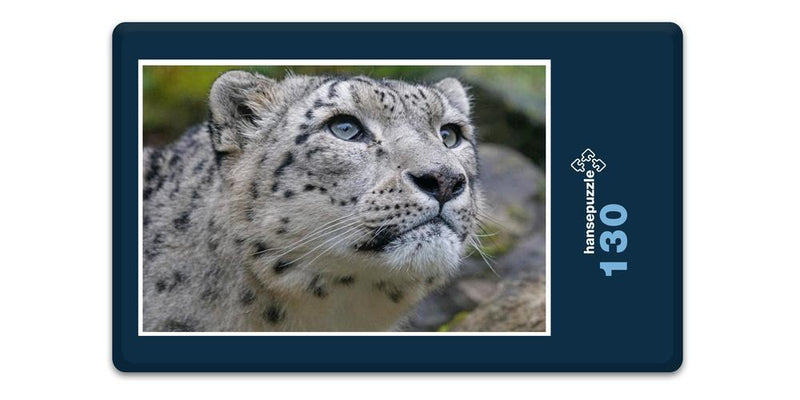 17555 Tierwelt - Schnee-Leopard