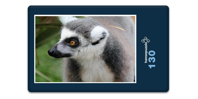 18295 Natur - Lemur