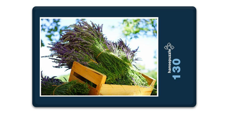 18587 Natur - Lavendel in Box