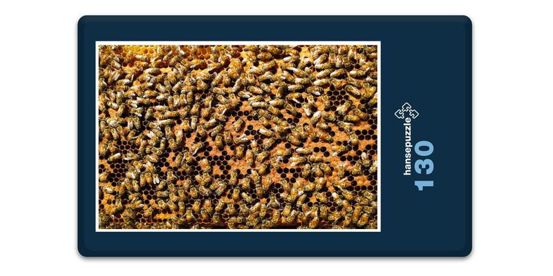 17203 Ernährung - Bienen-Honig