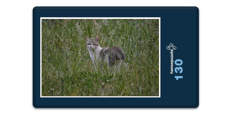 18046 Tierwelt - Katze im Gras