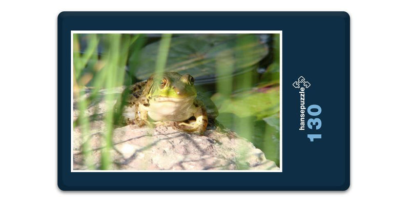 17859 Tierwelt - Frosch am See