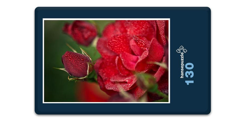 18569 Natur - Rote Rose