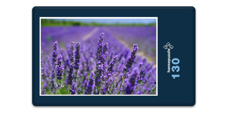 18582 Natur - Lavendel