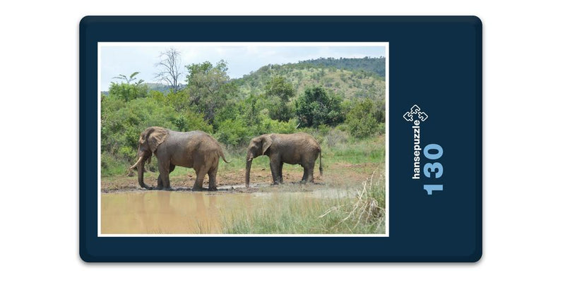 18287 Natur - Elefant