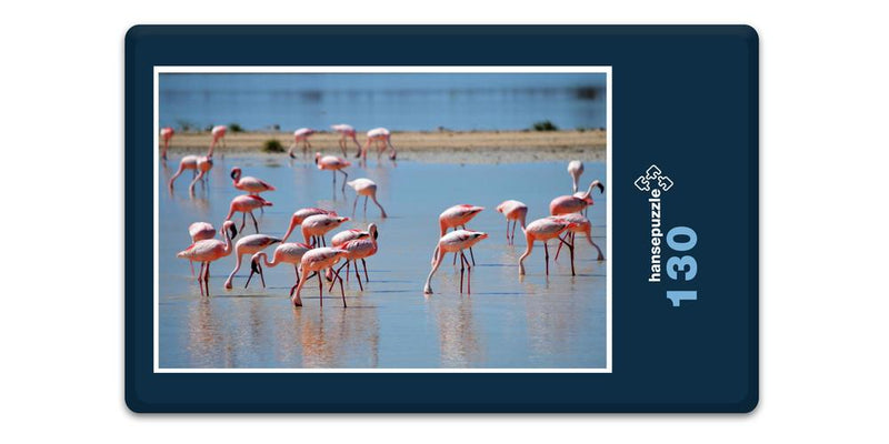 18306 Natur - Flamingos
