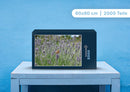 98999 Natur - Lavendel