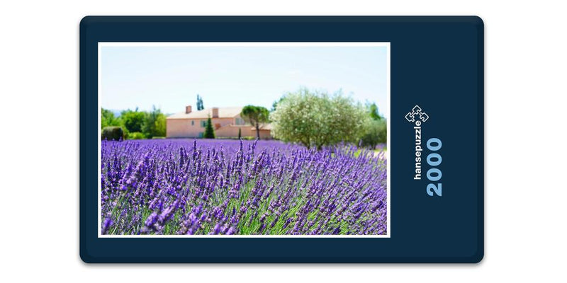 16367 Natur - Lavendel