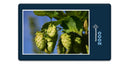 14355 Natur - Hopfen