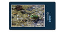 11877 Tierwelt - Frosch im See