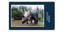 11381 Orte - Styracosaurus