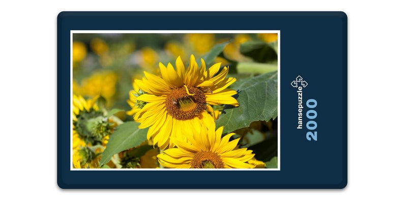 11865 Tierwelt - Sonnenblume