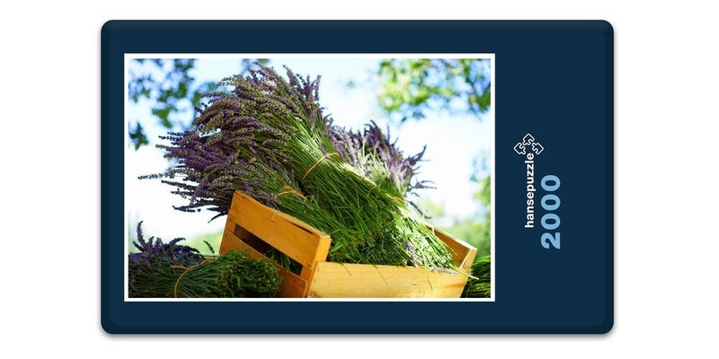 16403 Natur - Lavendel in Box