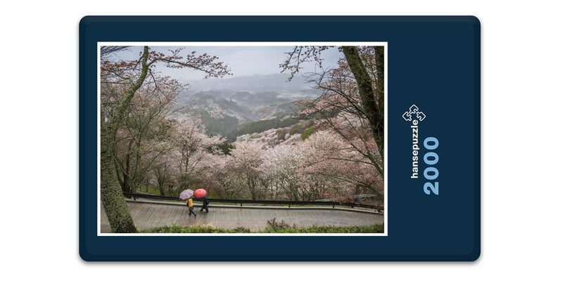 15879 Natur - Kirschblüte in Japan