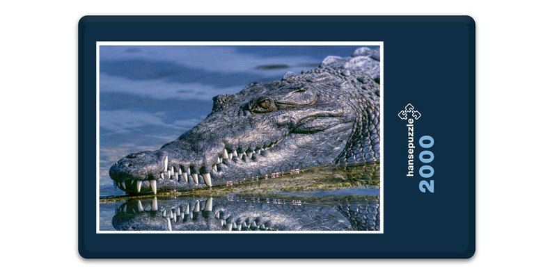 16539 Tierwelt - Krokodil