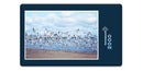 16625 Tierwelt - Möwen-Schwarm