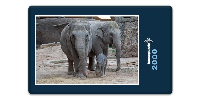 12277 Tierwelt - Elefanten-Familie
