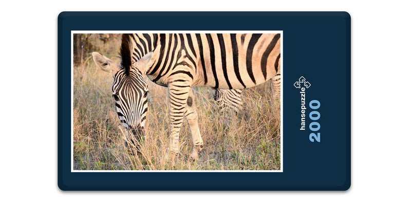 10288 Natur - Zebra