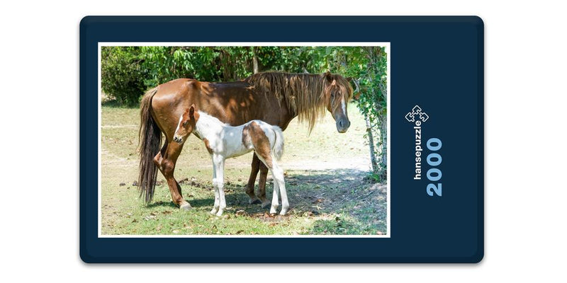 11933 Tierwelt - Pferd und Fohlen