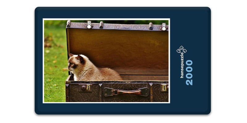 16671 Tierwelt - Katze im Koffer