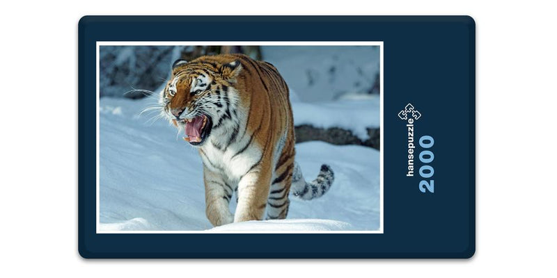 12217 Tierwelt - Tiger